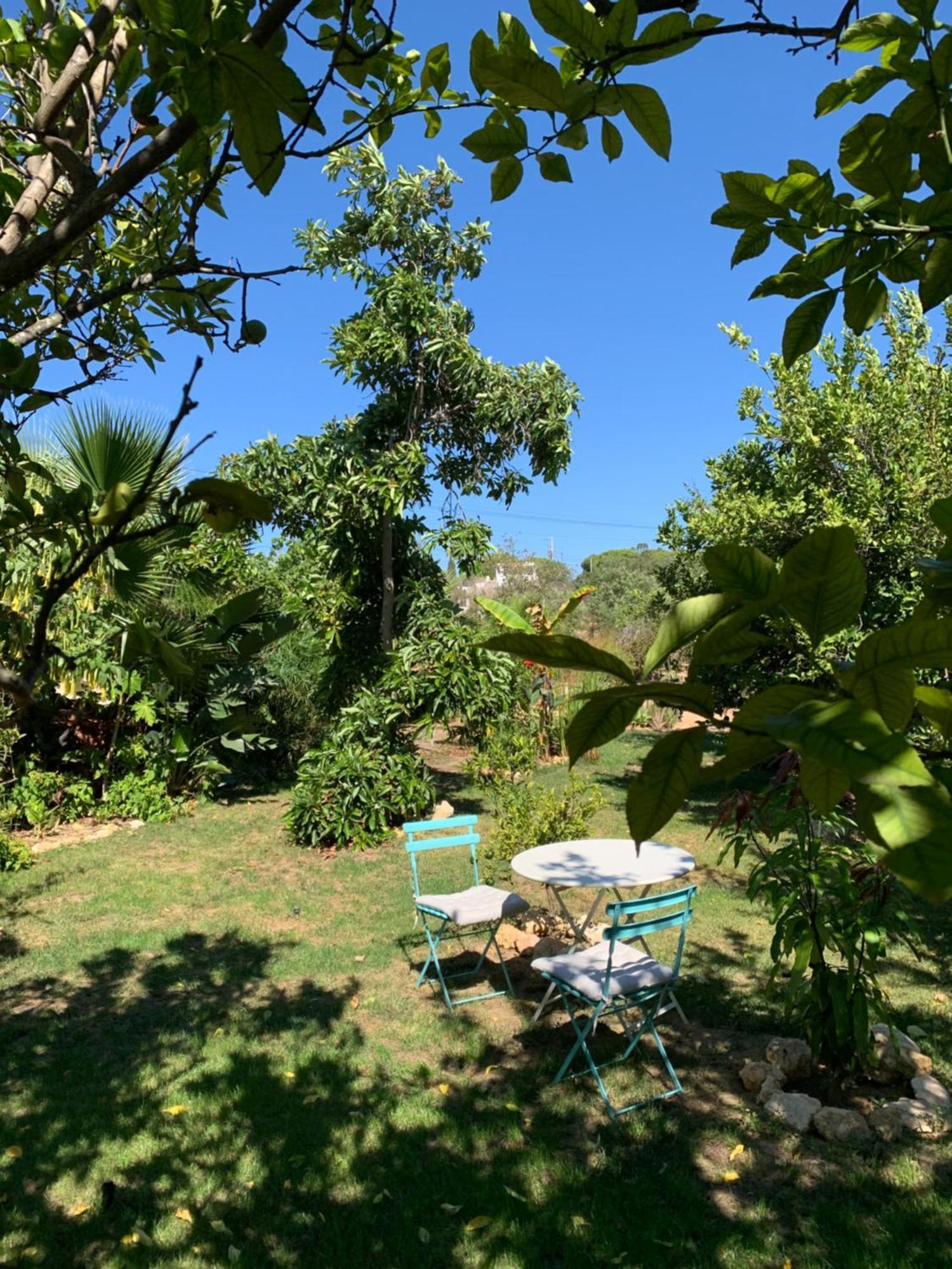 A Tranquil Garden Apartment, Carvoeiro - Benagil Экстерьер фото